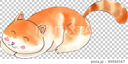 Kitten cat watercolor png element 99998567