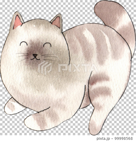 Kitten cat watercolor png element Kitten cat watercolor png element 99998568
