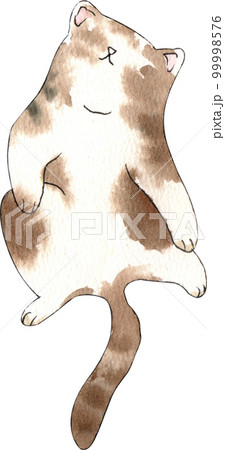 Kitten cat watercolor png element Kitten cat watercolor png element 99998576