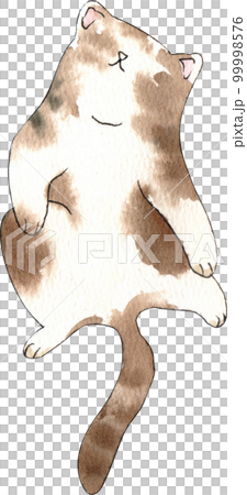 Kitten cat watercolor png element Kitten cat watercolor png element 99998576