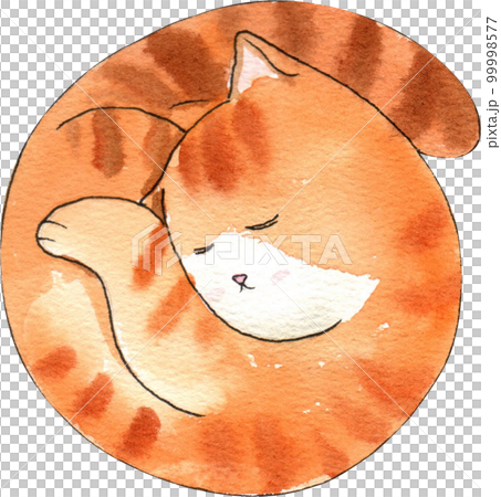 Kitten cat watercolor png element Kitten cat watercolor png element 99998577