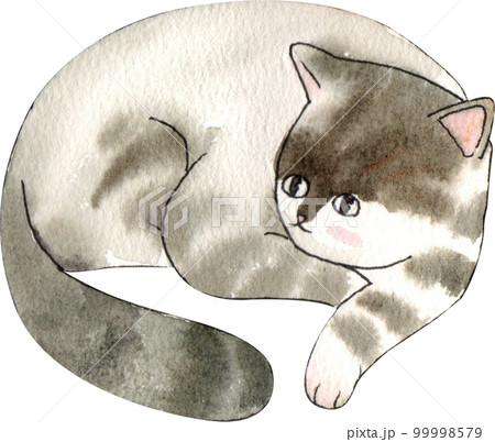 Kitten cat watercolor png element Kitten cat watercolor png element 99998579