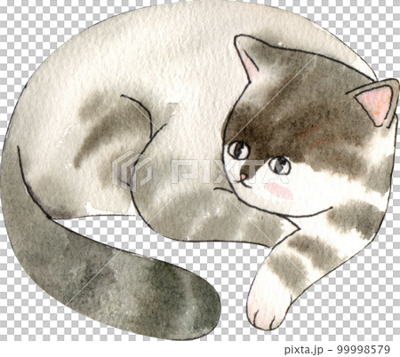 Kitten cat watercolor png element Kitten cat watercolor png element 99998579