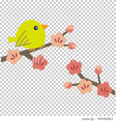 梅の花とメジロ/ウグイスの挿絵 梅の花とメジロ/ウグイスの挿絵 99998862