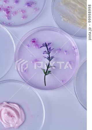 Top view round petri dishes with various herbs. Green herb on round glass. Top view round petri dishes with various herbs. Green herb on round glass. 99998998
