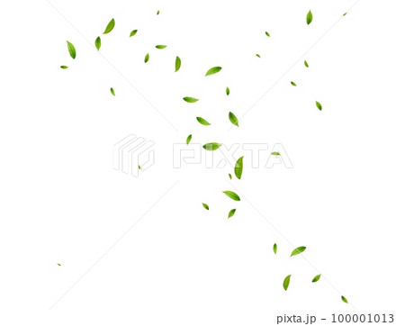 Realistic green tea leaves in motion Realistic green tea leaves in motion 100001013