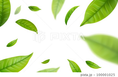 Realistic green tea leaves in motion Realistic green tea leaves in motion 100001025