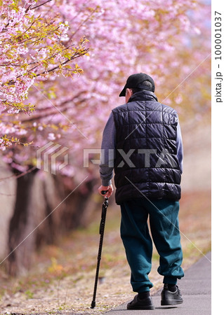 老人の散歩 父の思い出　おじいちゃんの思い出　背中 100001037