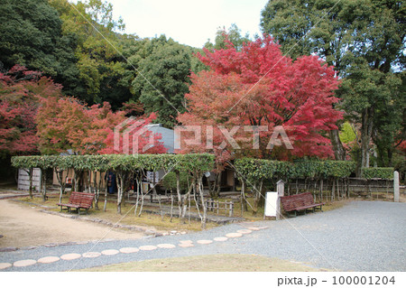 龍野のまちなみ　秋の聚遠亭 楽庵　兵庫県たつの市龍野町 100001204