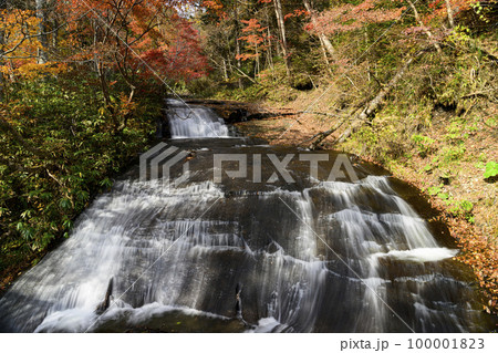 秋の恵庭渓谷（ラルマナイの滝） 100001823