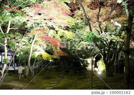 龍野のまちなみ 秋の聚遠亭 御涼所(別館) 夜景 兵庫県たつの市龍野町 龍野のまちなみ 秋の聚遠亭 御涼所(別館) 夜景 兵庫県たつの市龍野町 100002162
