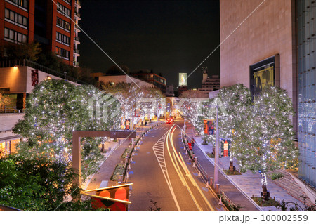 六本木ヒルズ けやき坂 クリスマス イルミネーション ( 東京都 港区 六本木 ) 六本木ヒルズ けやき坂 クリスマス イルミネーション ( 東京都 港区 六本木 ) 100002559