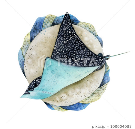 Watercolor spotted eagle ray and ocean sunfish hand drawn illustrations isolated on white. Nautical underwater animals 100004085