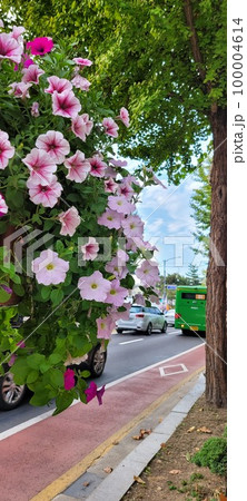 東十字閣 清渓川 100004614