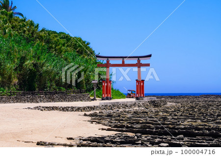 青島神社の赤い鳥居（宮崎県宮崎市） 100004716