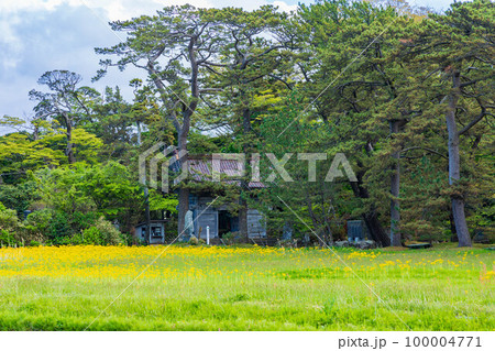 秋田にかほの初夏 新緑の蚶満寺 山門 秋田にかほの初夏 新緑の蚶満寺 山門 100004771