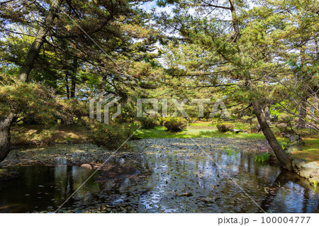 秋田にかほの初夏 新緑の蚶満寺 蓮の池 秋田にかほの初夏 新緑の蚶満寺 蓮の池 100004777