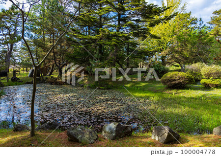 秋田にかほの初夏 新緑の蚶満寺 蓮の池 秋田にかほの初夏 新緑の蚶満寺 蓮の池 100004778