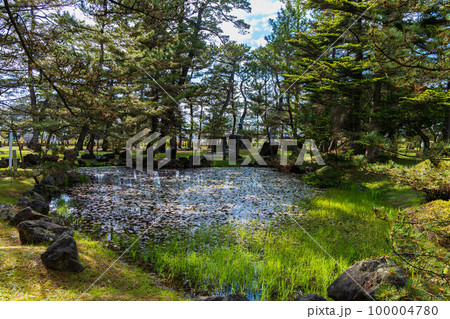 秋田にかほの初夏　新緑の蚶満寺　蓮の池 100004780