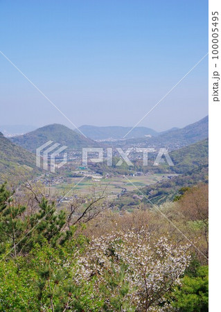 香川県高松市　五色台から石清尾山・串ノ山・高松市街方面を望む 100005495