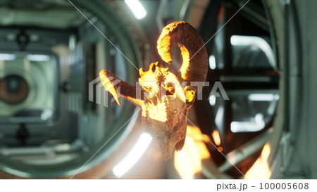 skull of dead ram in international space station skull of dead ram in international space station 100005608