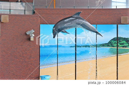 イルカのショー イルカのショー 100006084