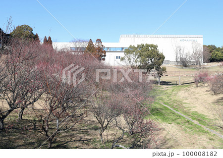 石ケ谷公園の梅園（兵庫県 明石市） 100008182
