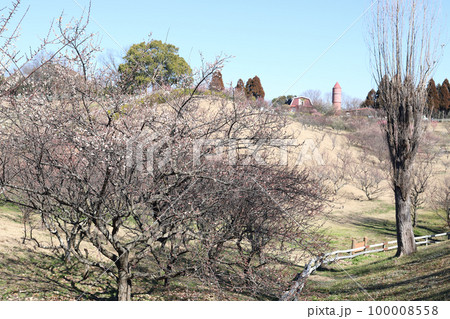 石ケ谷公園の梅園と石ケ谷自然工房（兵庫県 明石市） 100008558