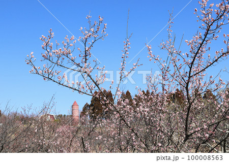 石ケ谷公園の梅園と石ケ谷自然工房（兵庫県 明石市） 100008563