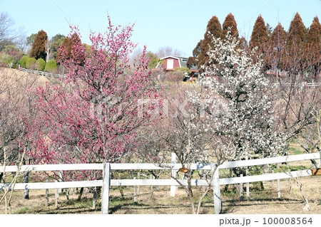 石ケ谷公園の梅園と石ケ谷自然工房（兵庫県 明石市） 100008564