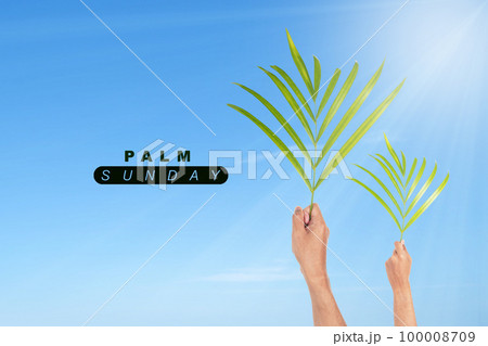 Palm Sunday 100008709