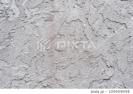モルタル塗装の壁　東京 100009098
