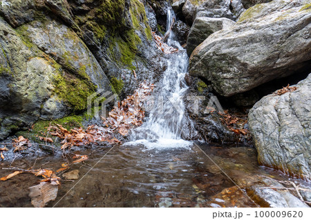 両神山 日向大谷口ルート 100009620