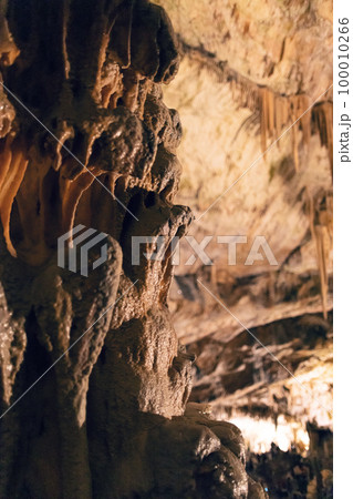 Close up of big stalagmite 100010266