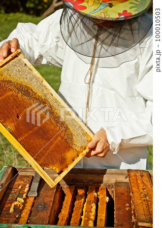 Beekeeper 100010503