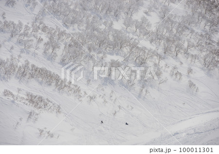 北海道虻田郡倶知安町のニセコアンヌプリのバックカントリーエリア鉱山の沢を滑るスキーヤー 北海道虻田郡倶知安町のニセコアンヌプリのバックカントリーエリア鉱山の沢を滑るスキーヤー 100011301