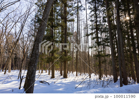 長野県白馬村の雪景色 100011590
