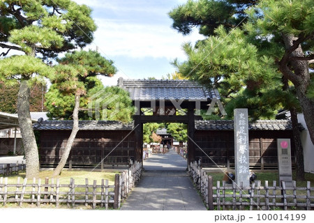 足利市 足利学校の入徳門と松並木 足利市 足利学校の入徳門と松並木 100014199