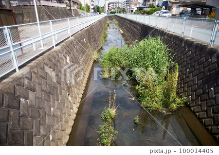 河川・護岸・郊外・川・風景・護岸壁 100014405