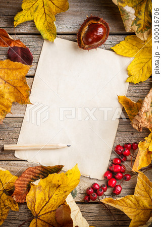 Autumn leaves 100016706