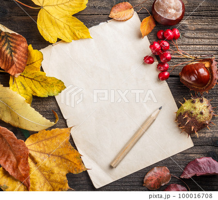 Autumn leaves 100016708
