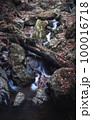 冬の滝 100016718