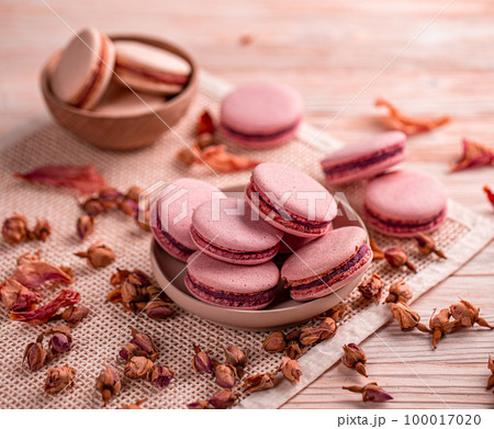 Still life composition of pink macaroons 100017020