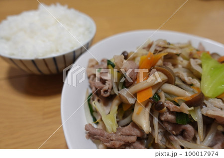 野菜炒めとご飯 野菜炒めとご飯 100017974