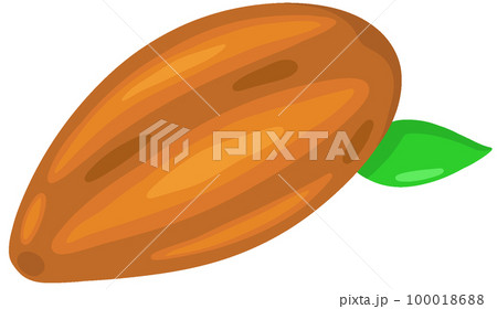 カカオポッド カカオポッド 100018688