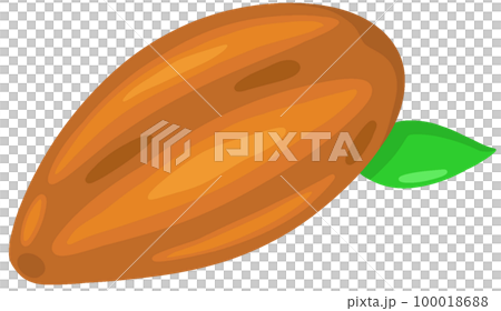 カカオポッド カカオポッド 100018688