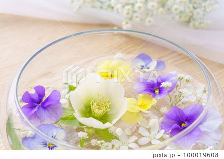 春のフローティングフラワー 春のフローティングフラワー 100019608