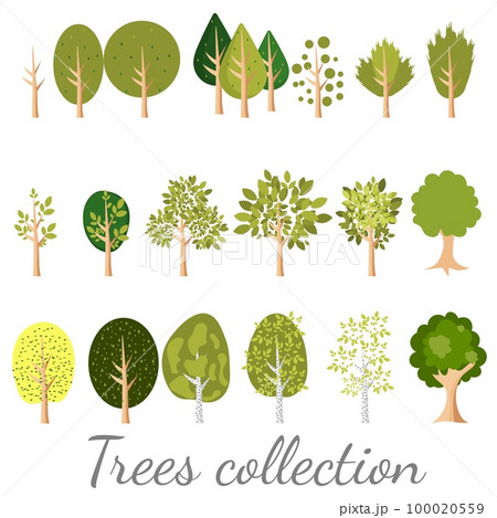 Different trees isolated on white background. Cute green plants, forest. 100020559