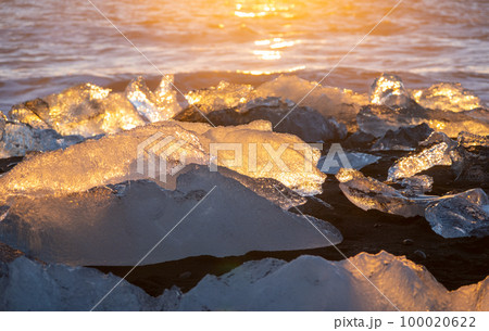 Pure Ice Shining on Black Volcanic Sand at Sunset, Ocean Waves Crash Icebergs Pure Ice Shining on Black Volcanic Sand at Sunset, Ocean Waves Crash Icebergs 100020622