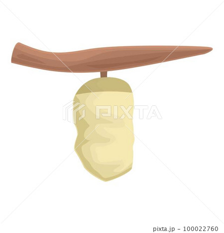 Leaf cocoon icon cartoon vector. Silk larva. Insect wildlife Leaf cocoon icon cartoon vector. Silk larva. Insect wildlife 100022760